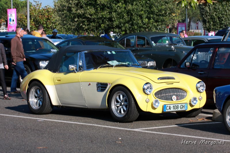Healey-02.JPG