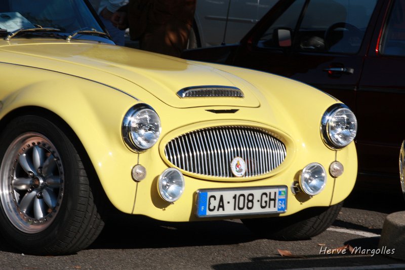 Healey-03.JPG