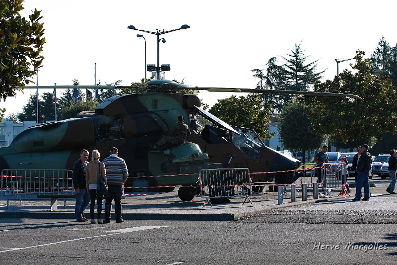 Tigre-02.JPG