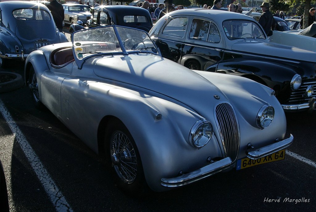 B45D0810.JPG
