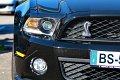 IMG_0661