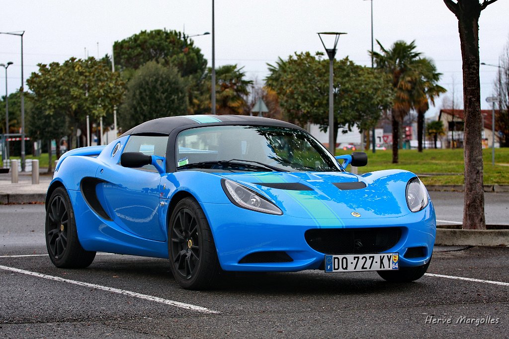 Lotus_01.JPG