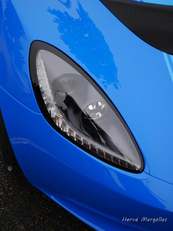 Lotus_03.JPG