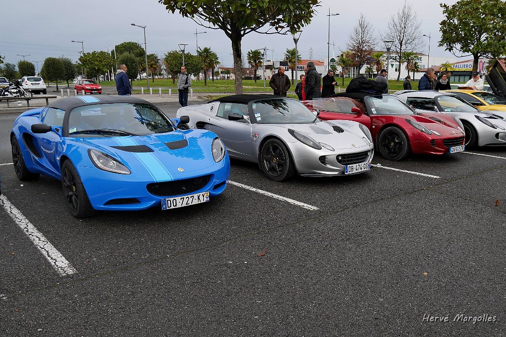 Lotus_05.JPG