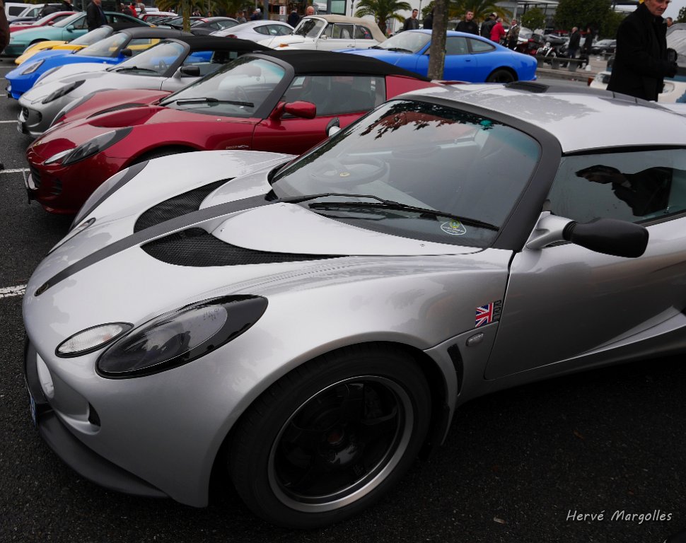 Lotus_06.JPG