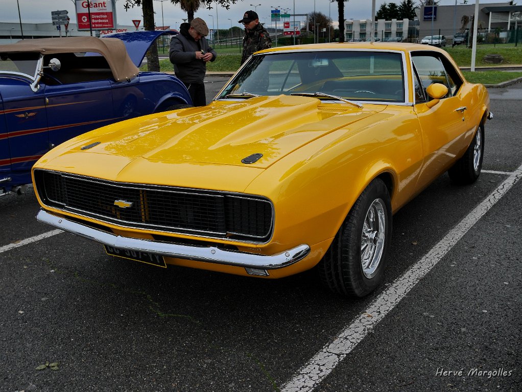 P1360588.JPG