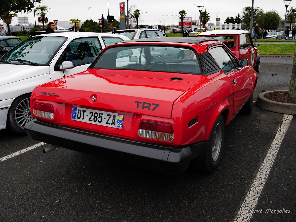 P1360611.JPG