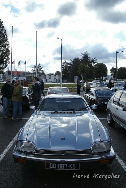Jaguar_01.JPG