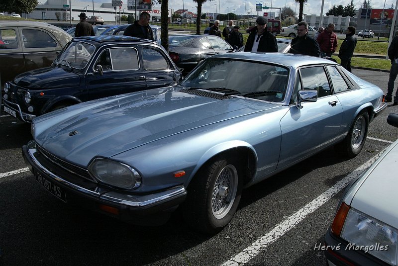 Jaguar_02.JPG