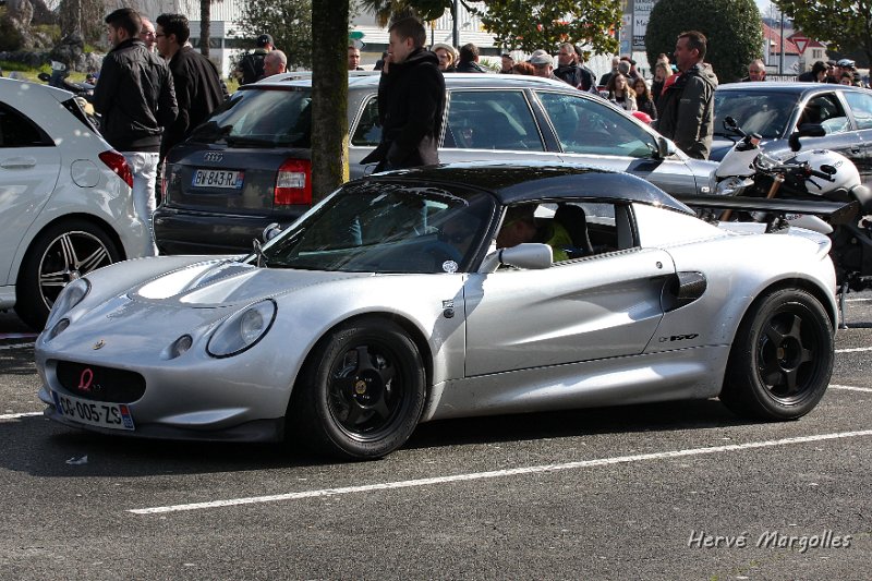 Lotus_02.JPG