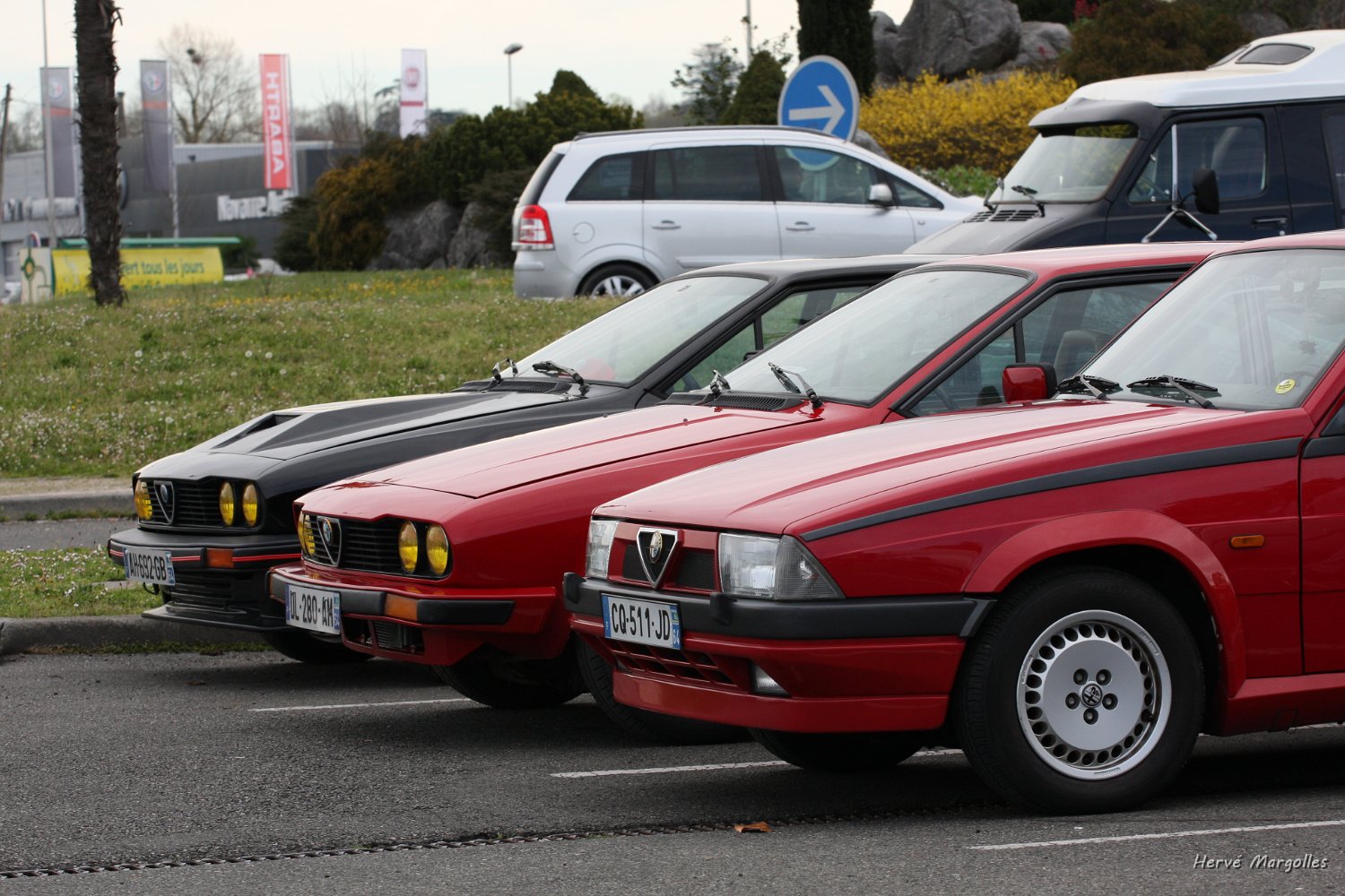Alfa-02.JPG