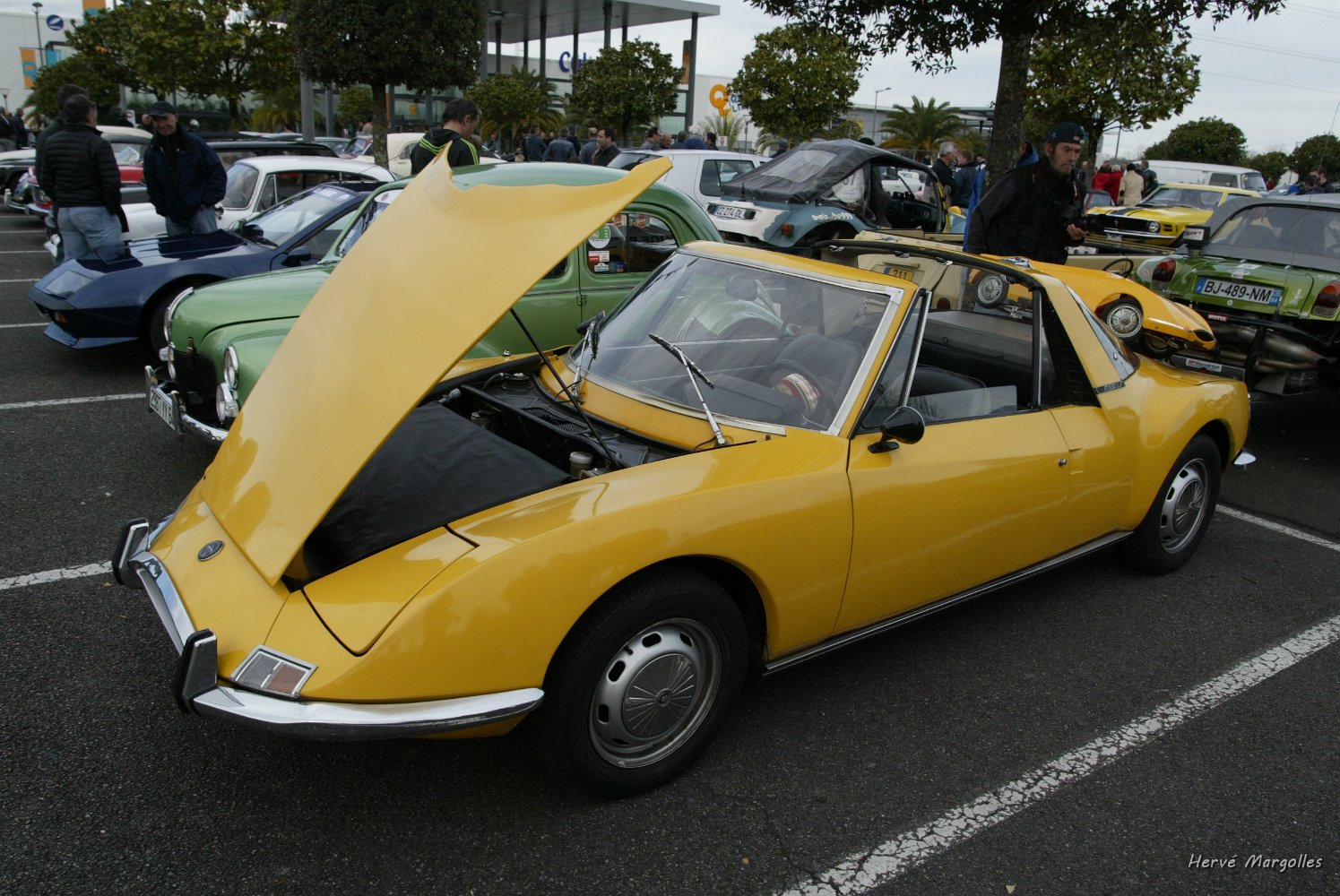 B45D1017.JPG