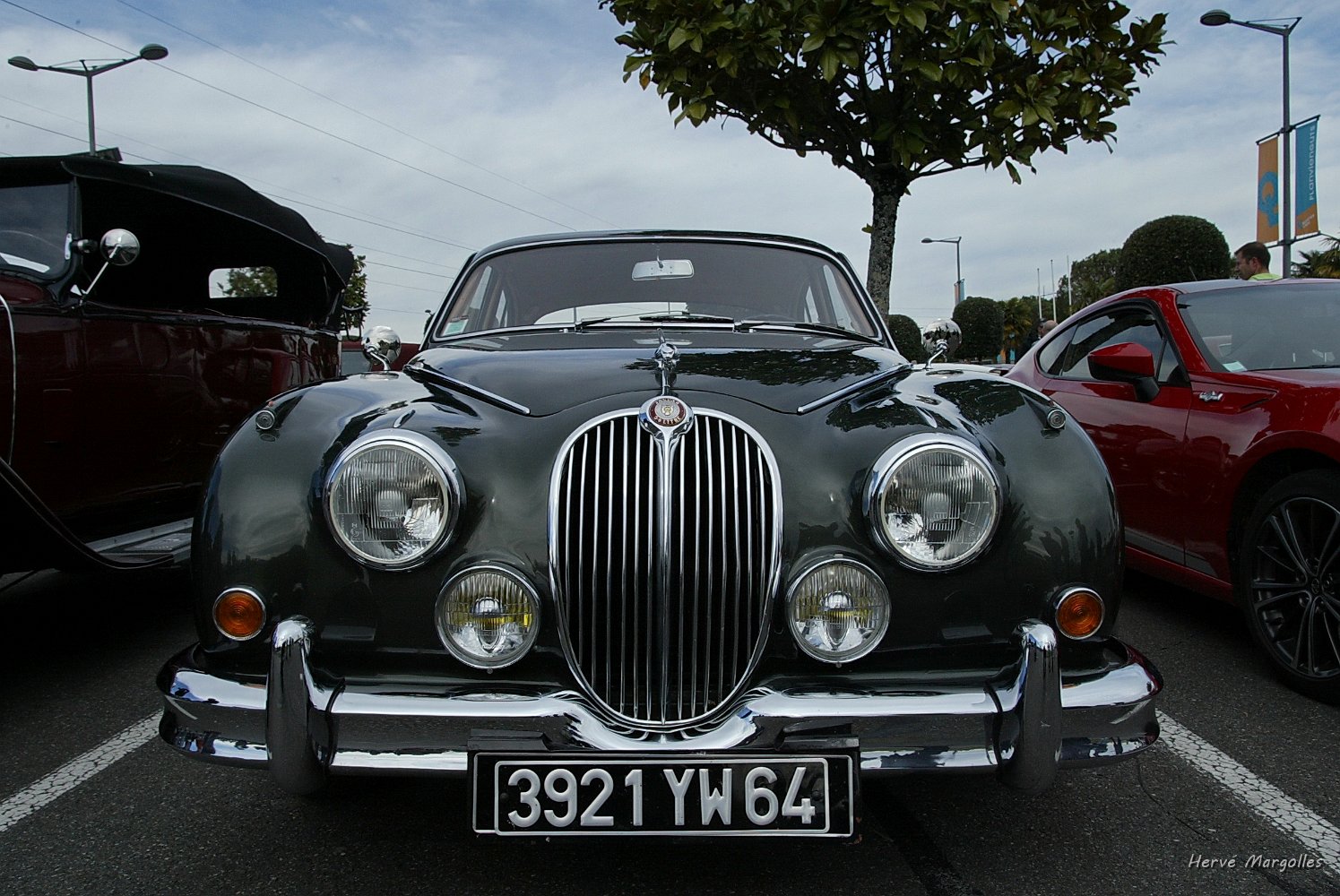 B45D1061.JPG
