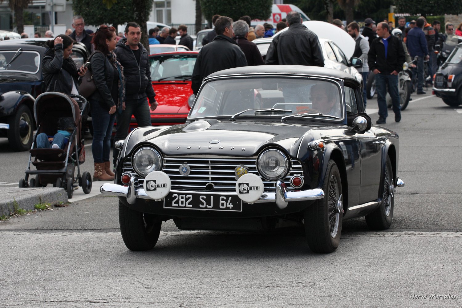 Triumph_02.JPG