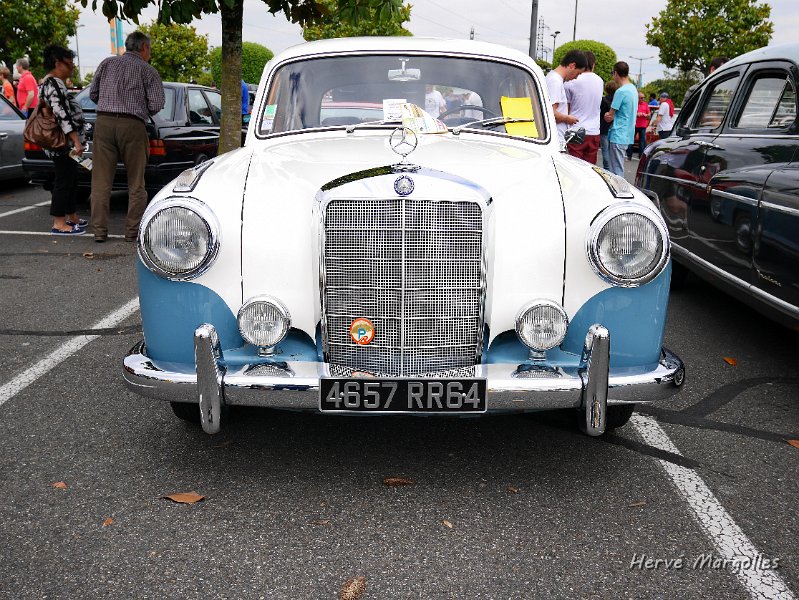 P1370056.JPG