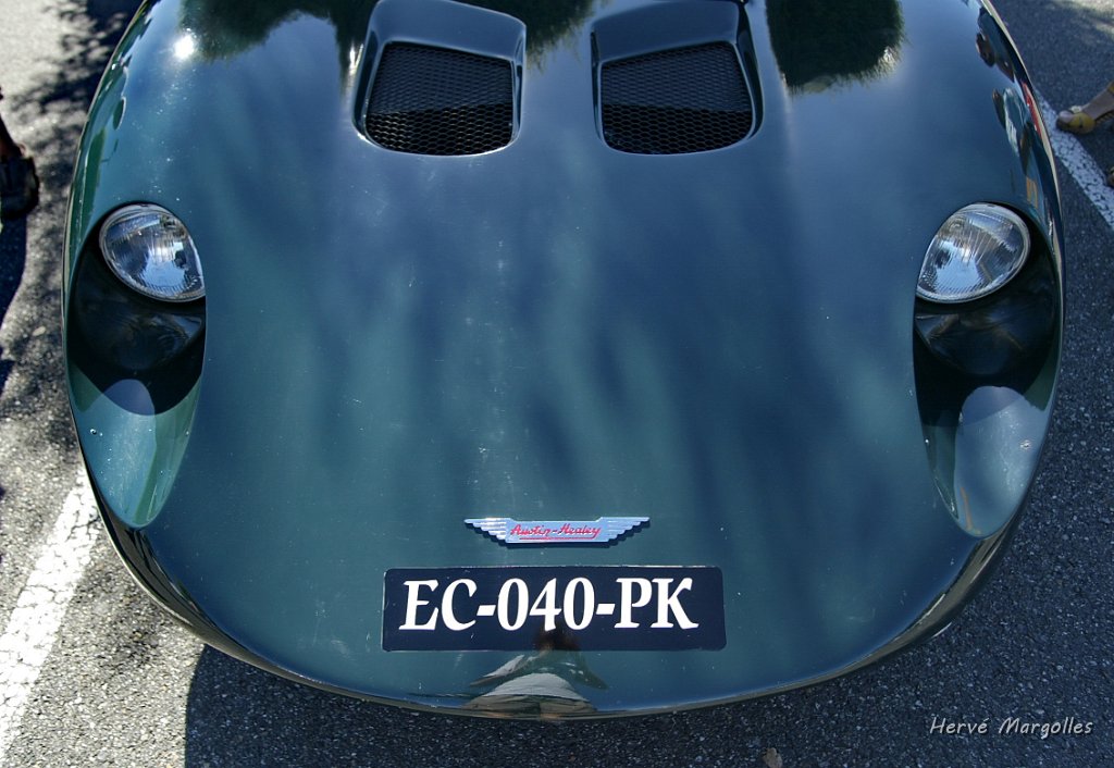 Healey03.JPG