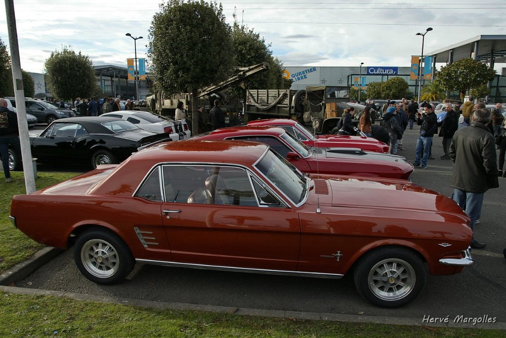 B45D2675.JPG