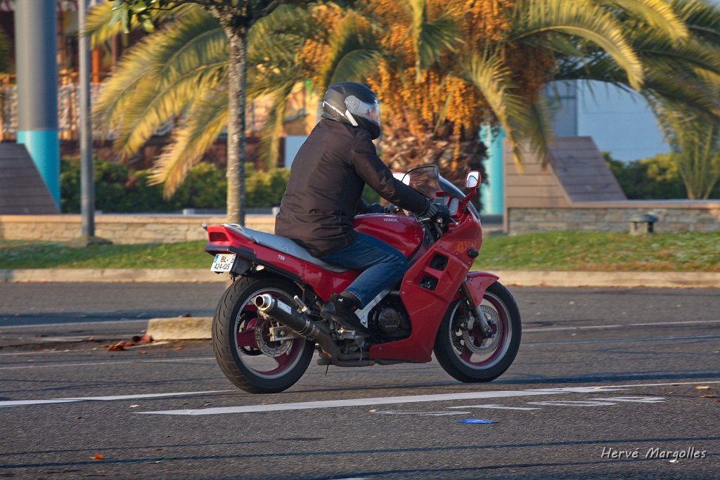 moto_01.jpg