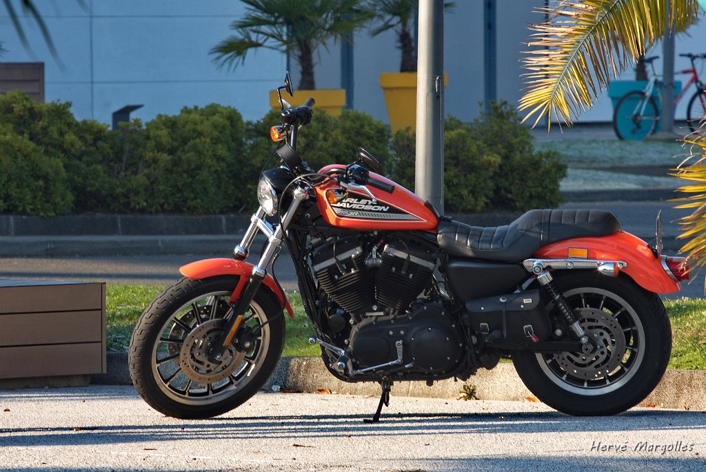 moto_03.jpg