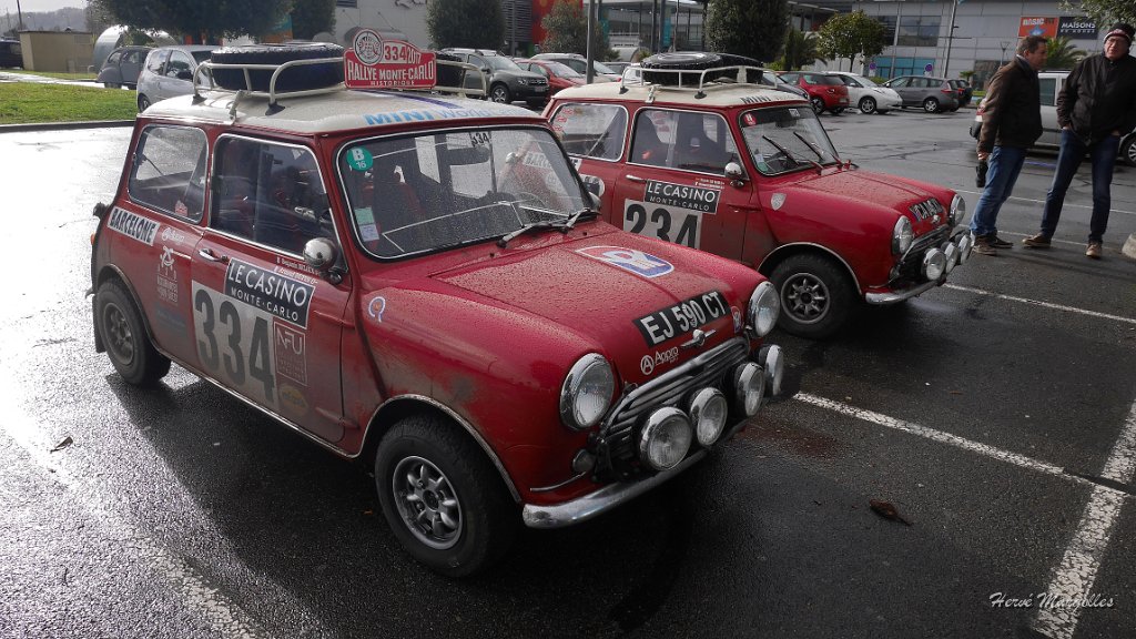 P1370603.JPG