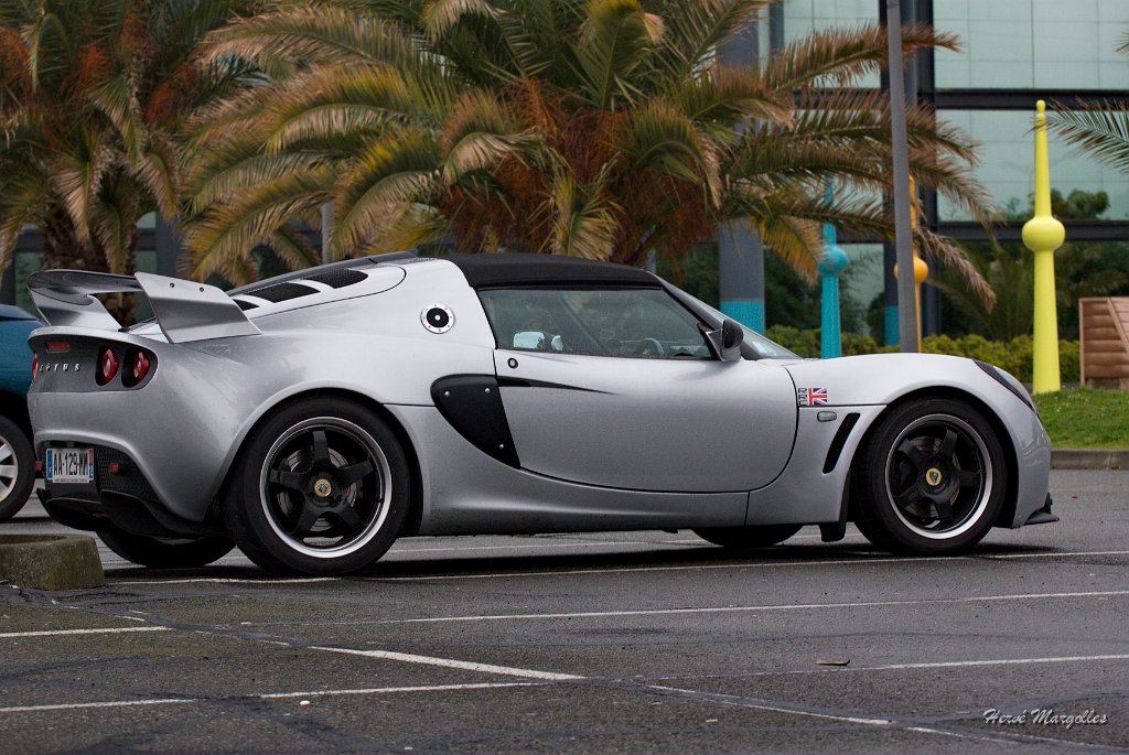 Lotus.jpg