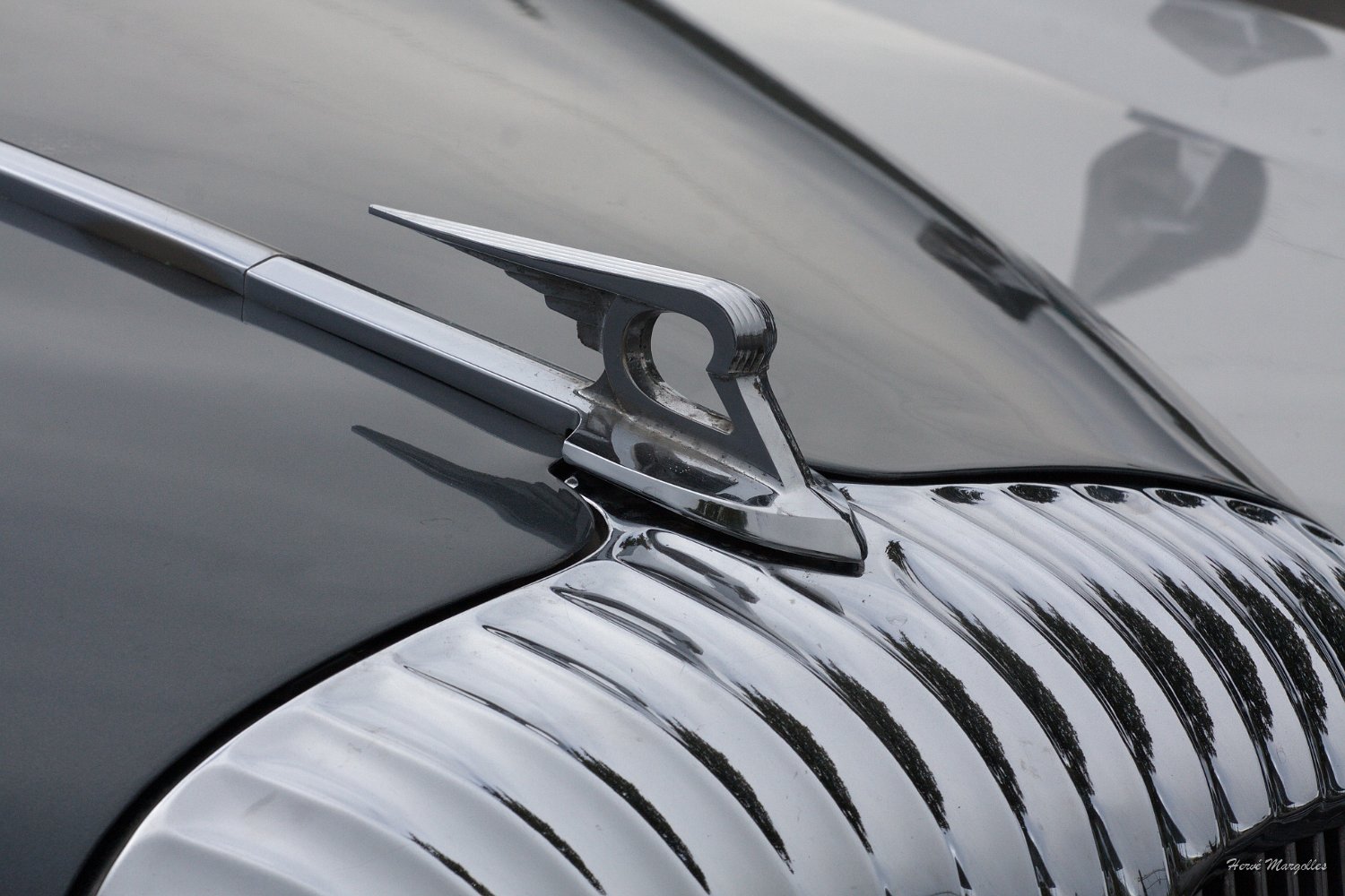 Daimler_DS420_05.jpg