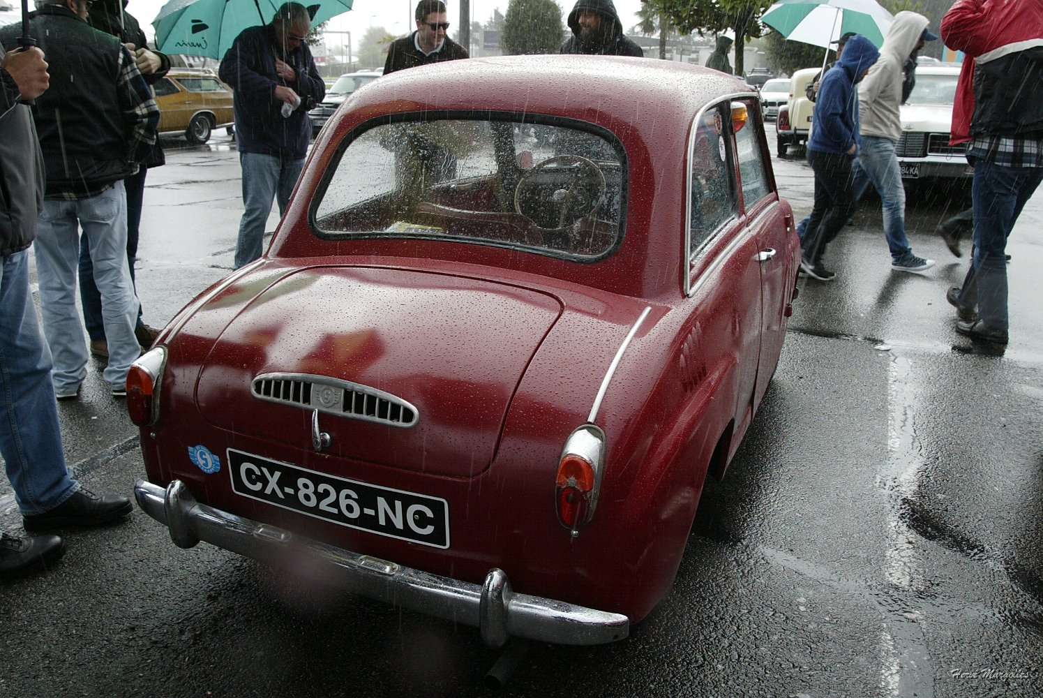 Gogomobile_02.JPG
