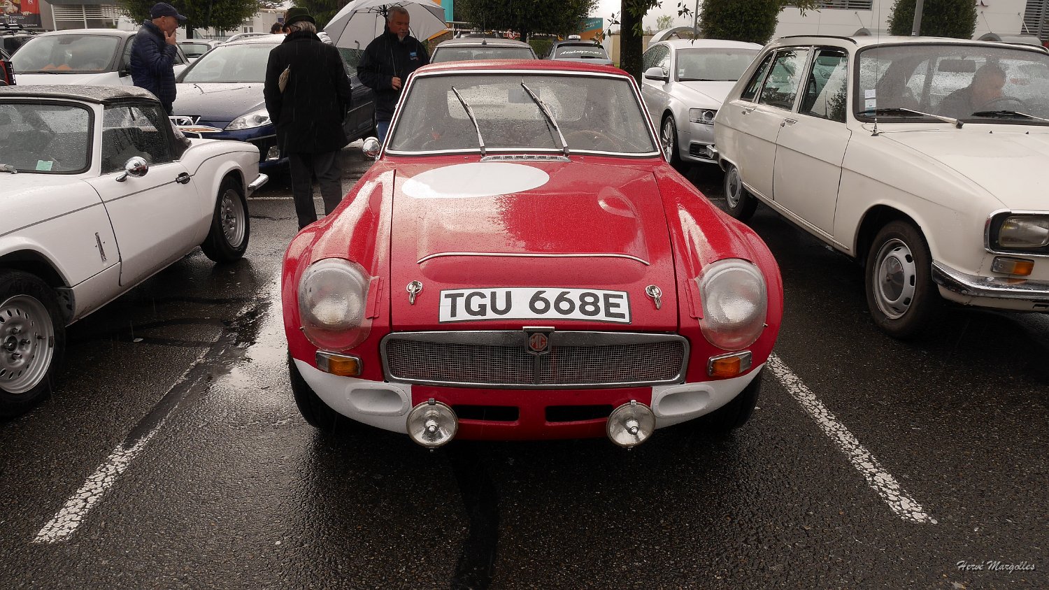 P1370650.JPG