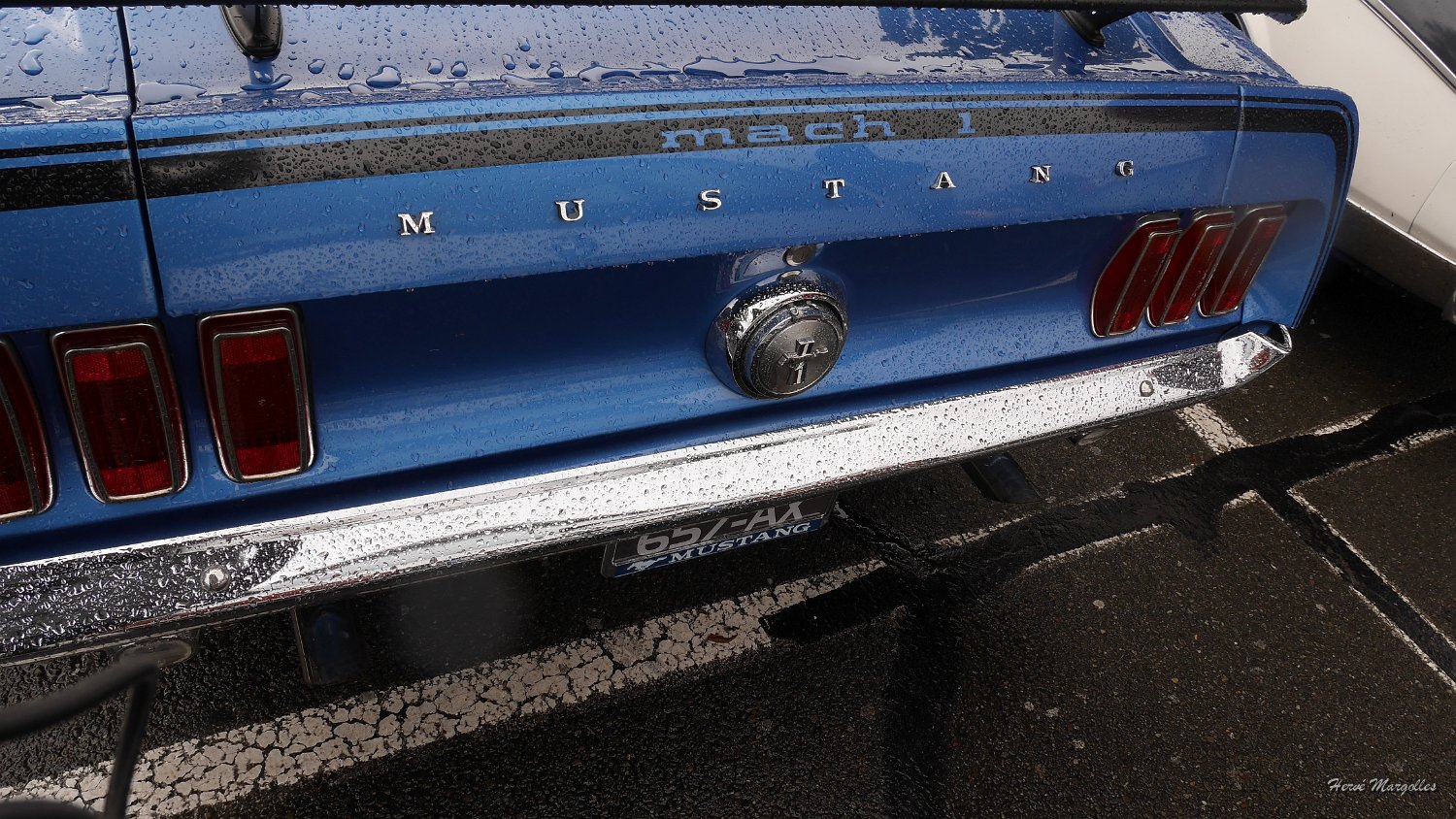 P1370655.JPG