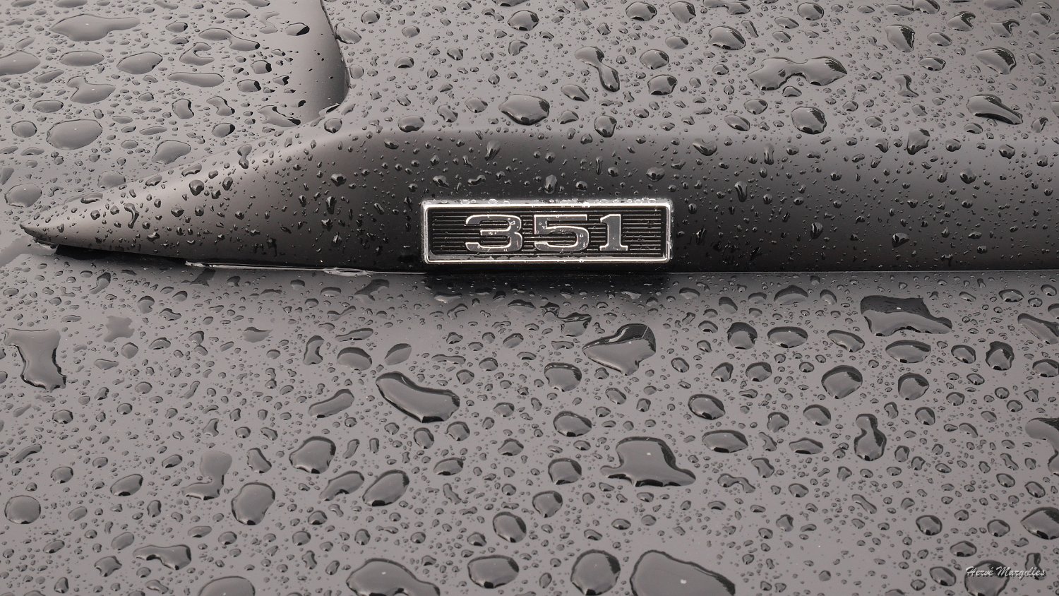 P1370657.JPG