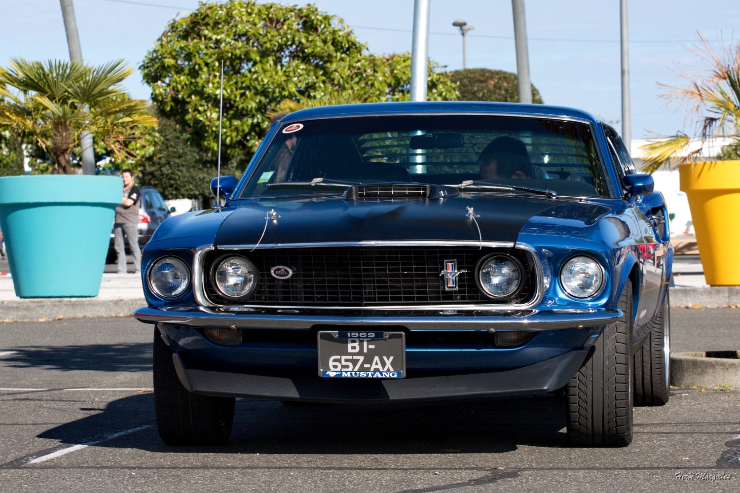 Ford-Mustang-03.jpg