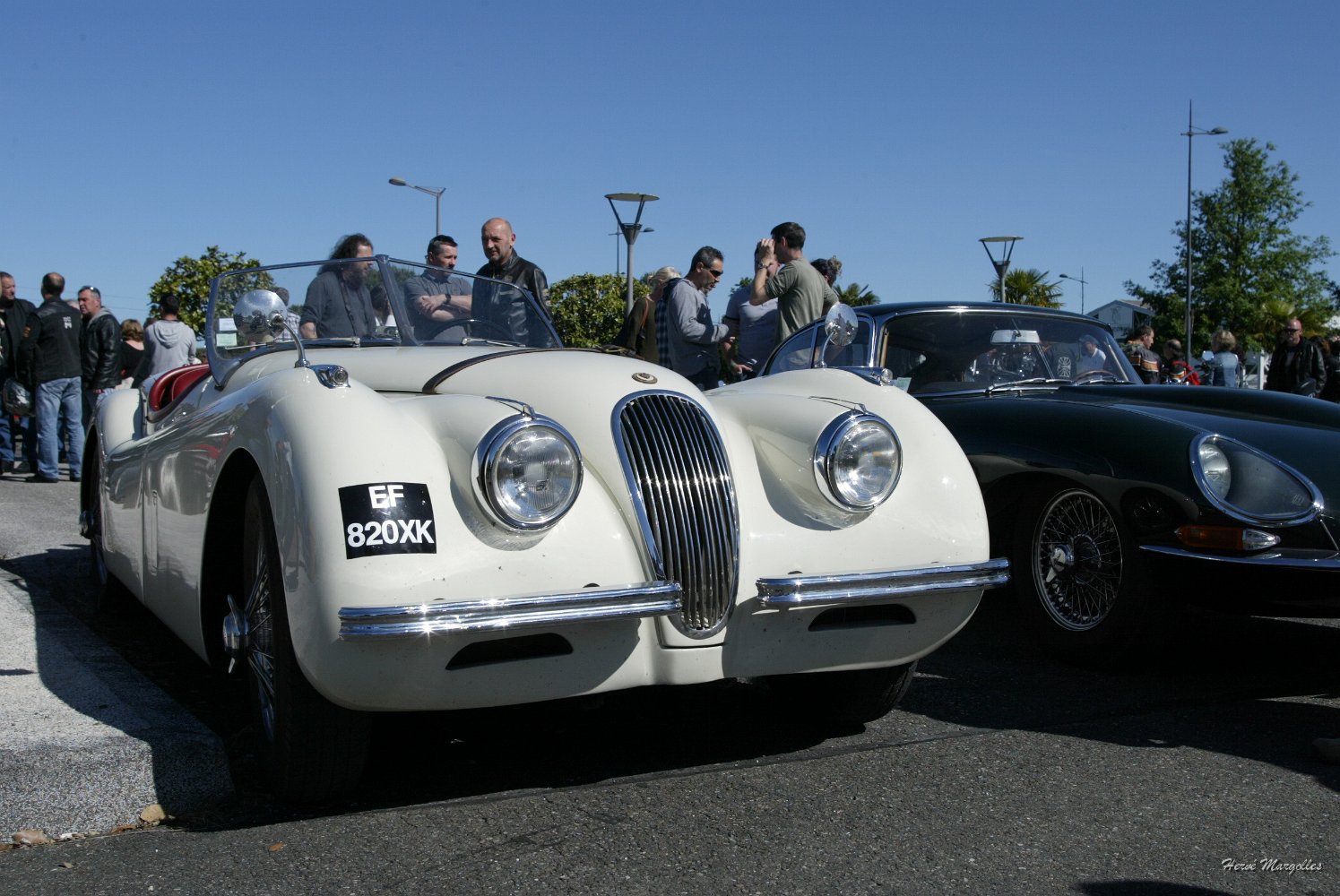 Jaguar-03.jpg