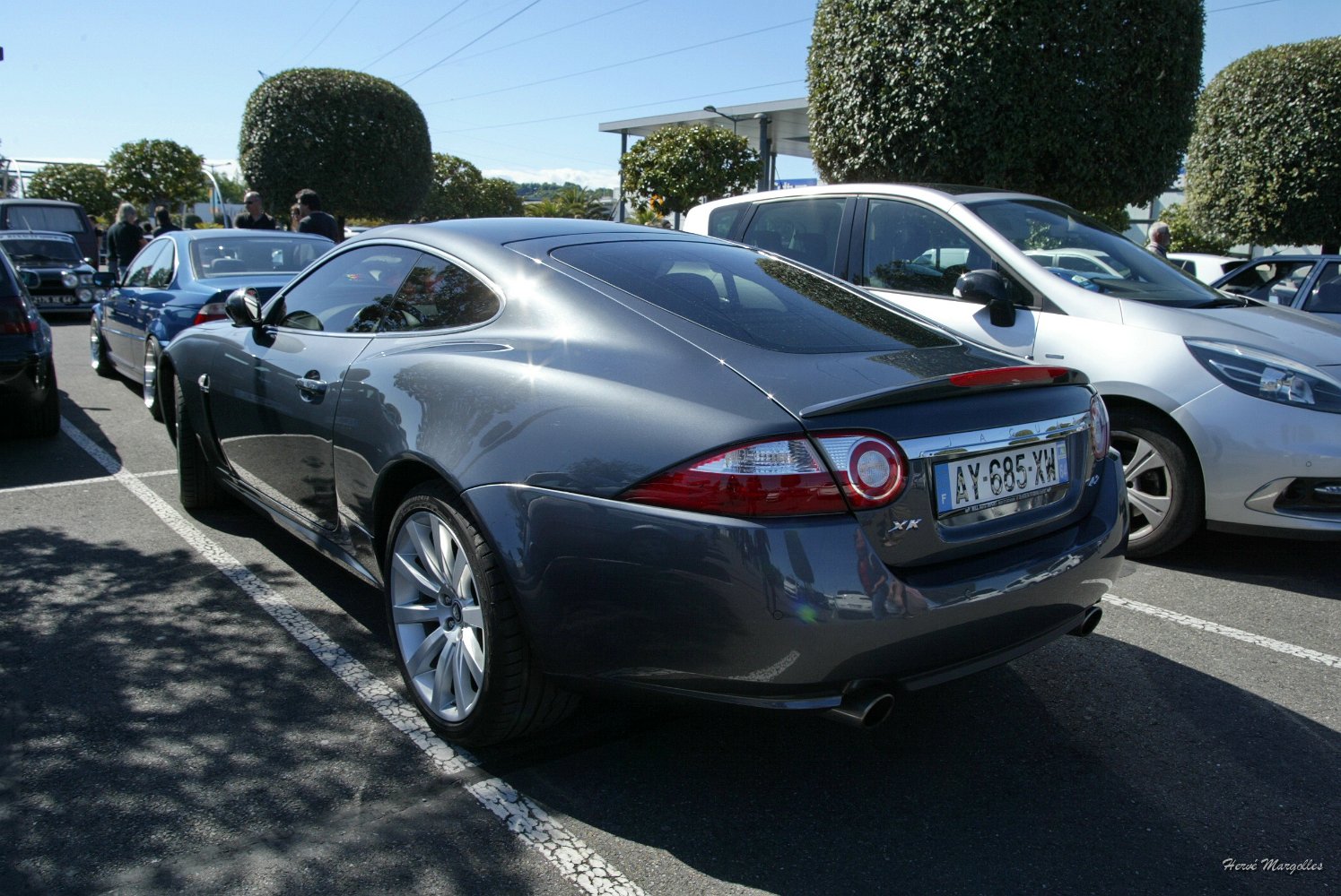 Jaguar-05.jpg