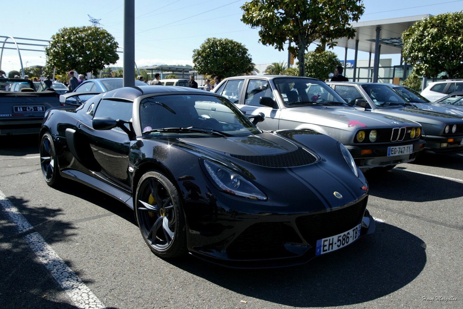 Lotus-03.jpg