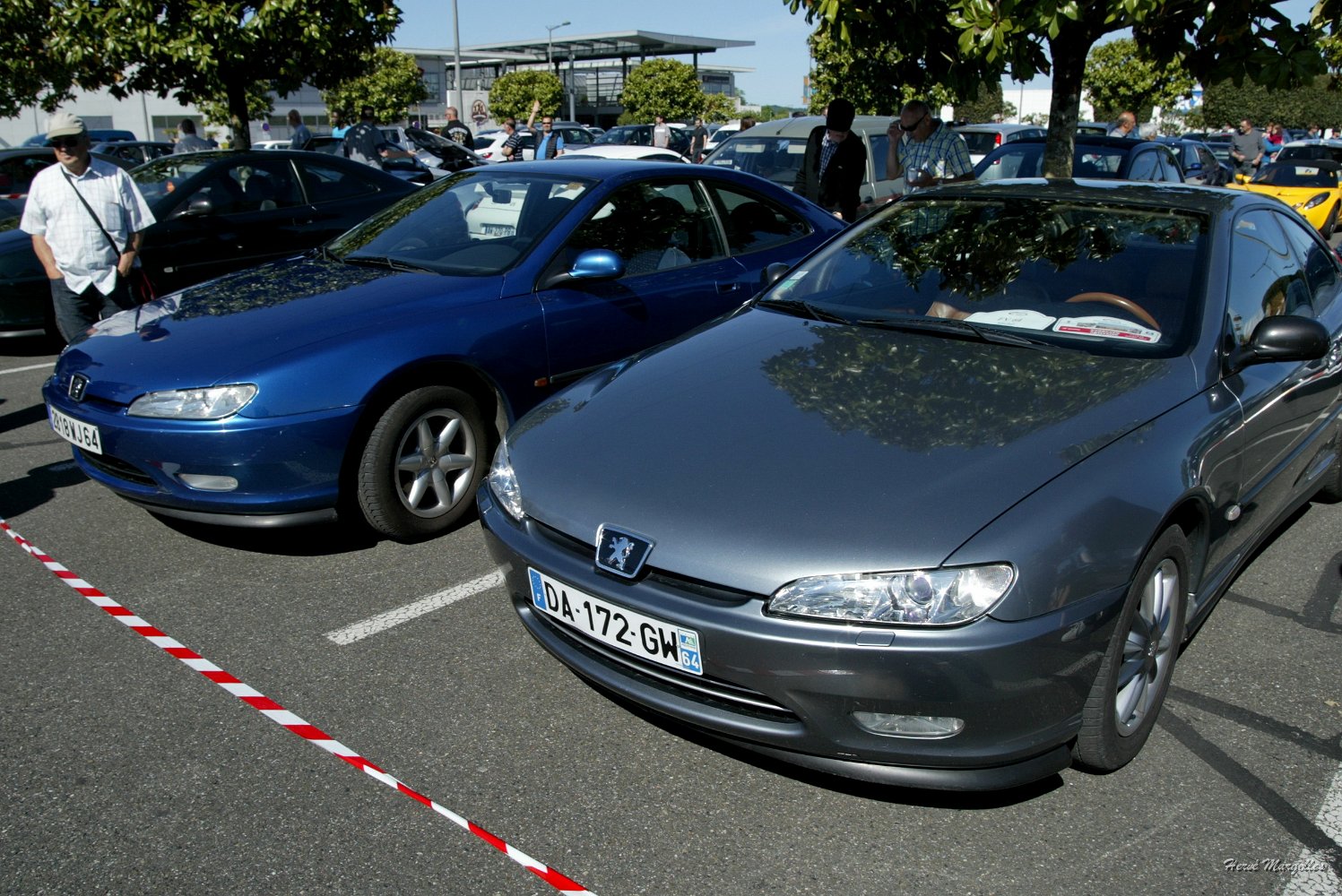 Peugeot_406-03.JPG