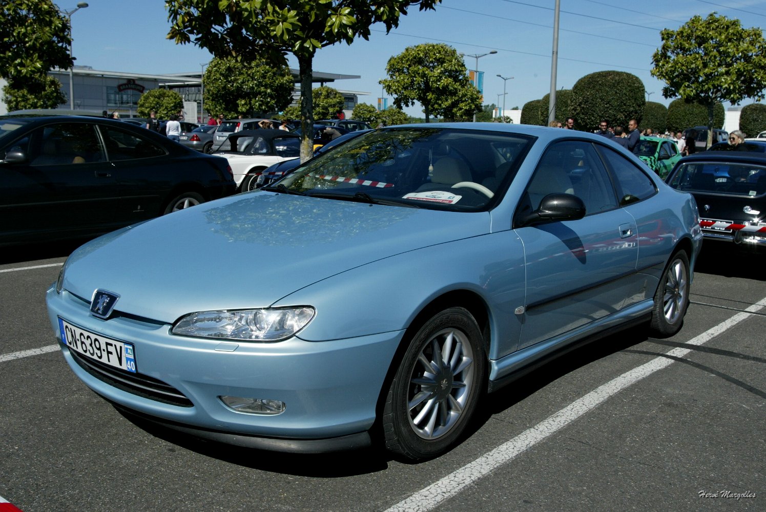 Peugeot_406-04.JPG