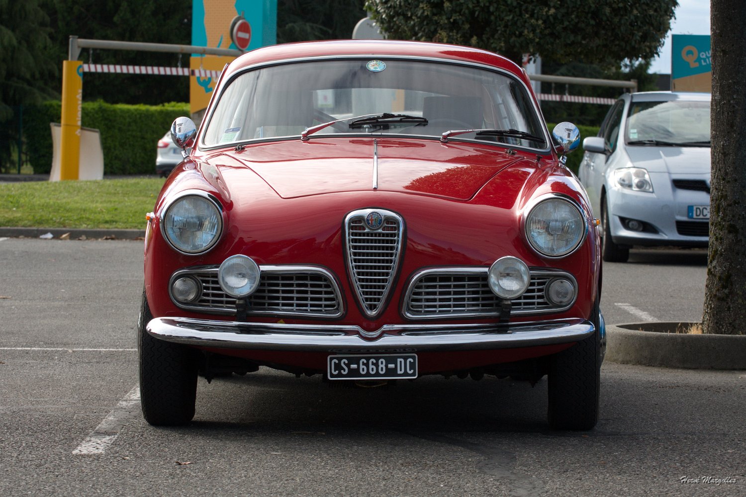 alfa-00.jpg