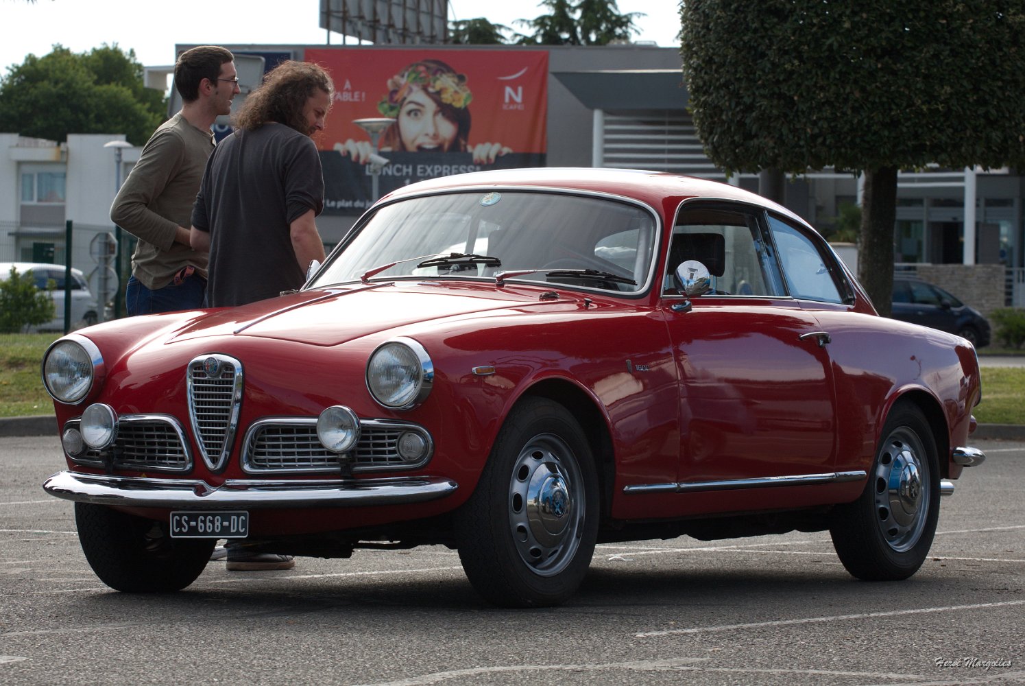 alfa-01.jpg