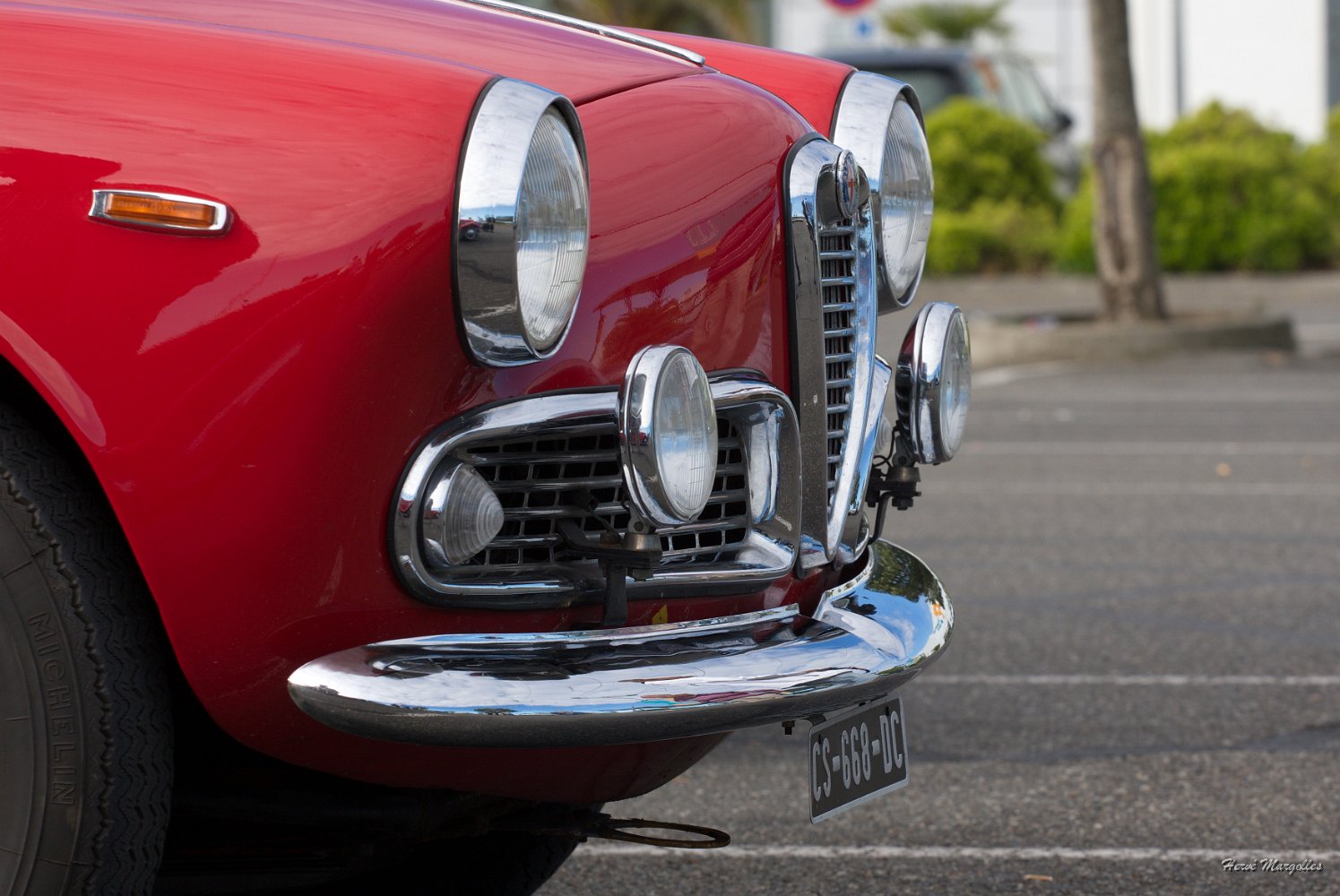alfa-03.jpg
