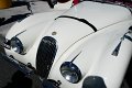 Jaguar-07