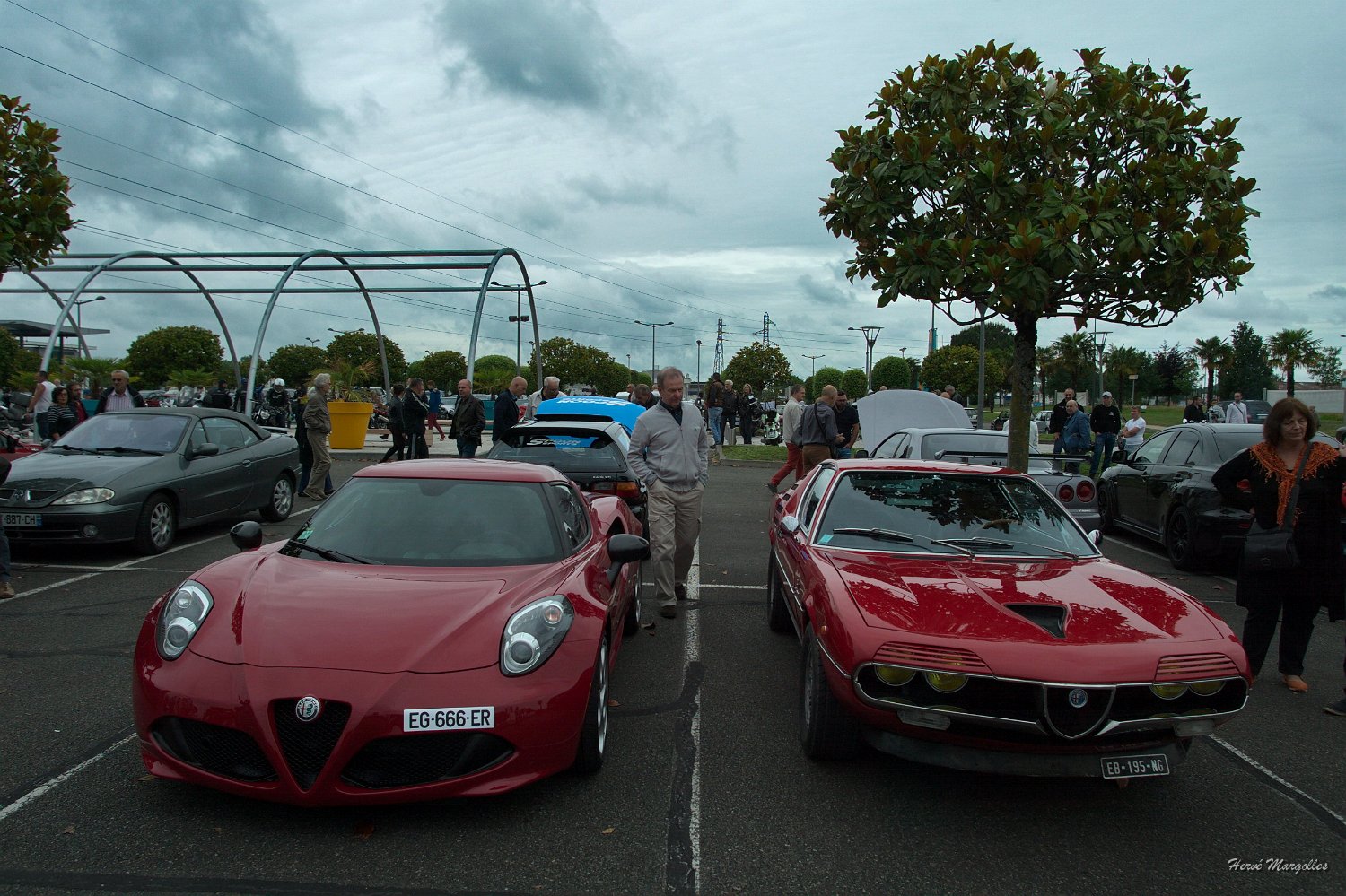Alfa-01.jpg
