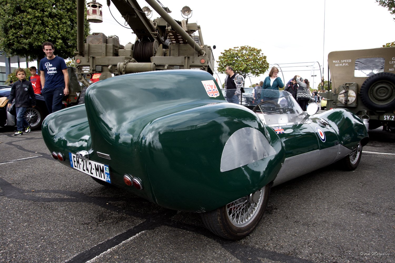 Lotus11-06.jpg