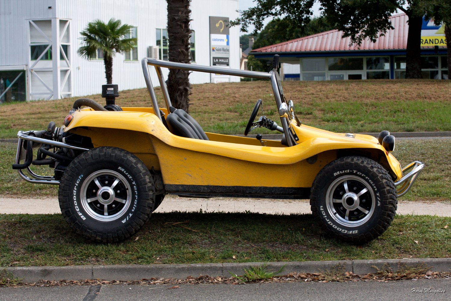 Buggy-01.jpg