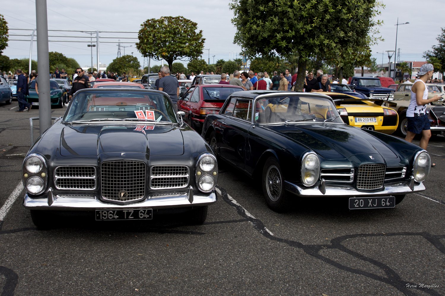 Facel-Vega-01.jpg