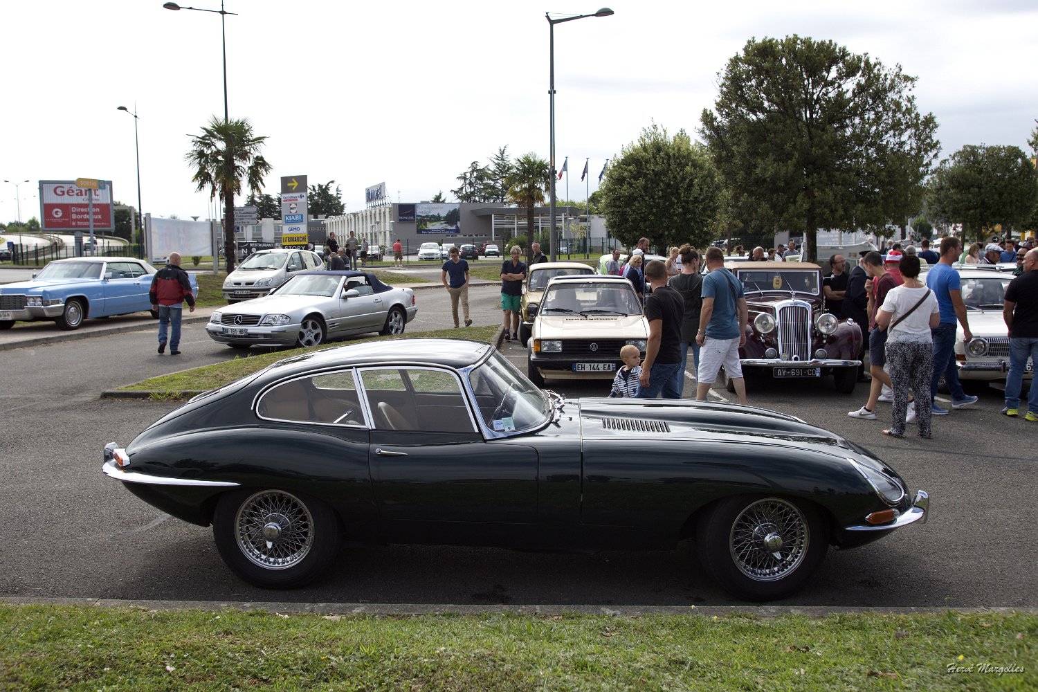 Jaguar-Type-E.jpg