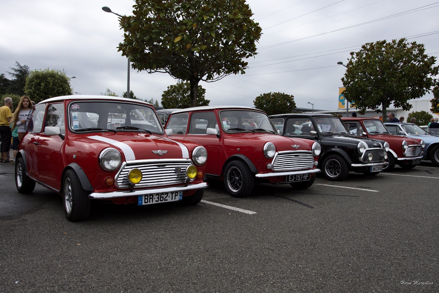 Mini-01.jpg