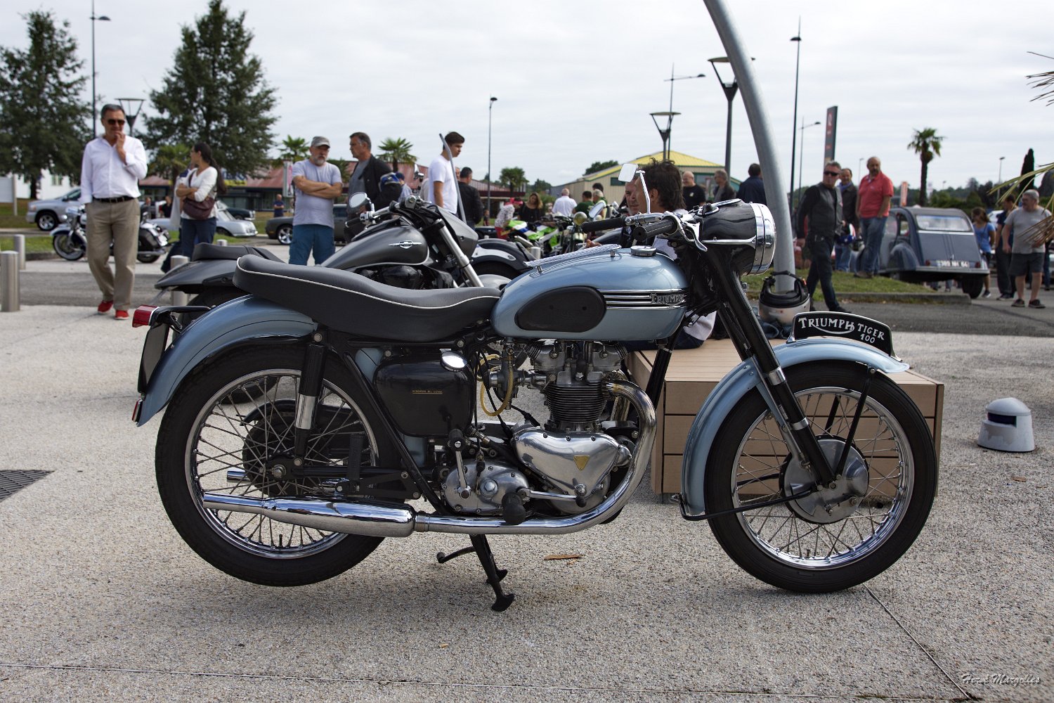 Moto-05.jpg