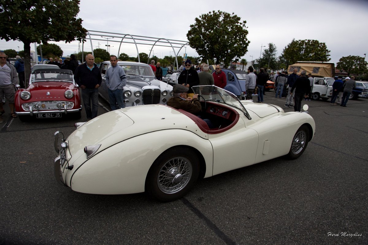 Jaguar-01.jpg