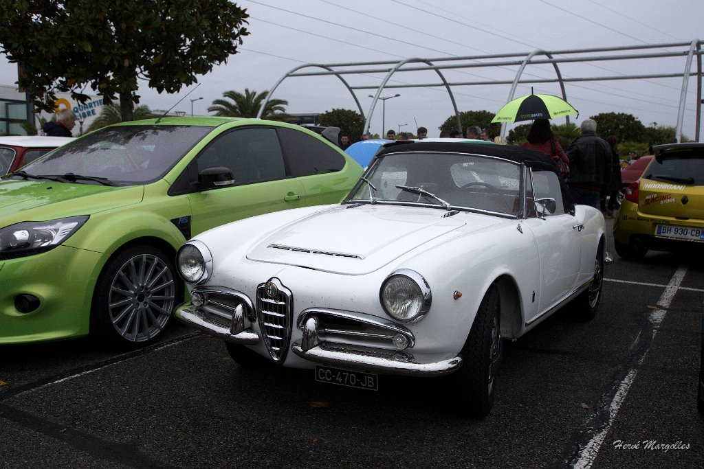 Alfa-01.jpg