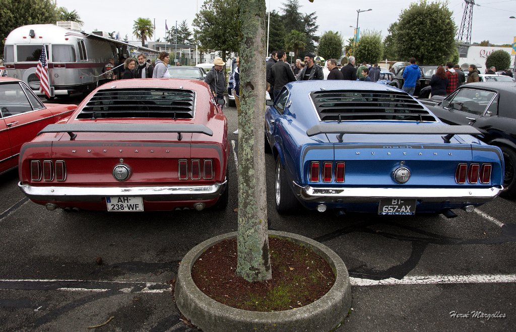 Ford-Mustang-05.jpg